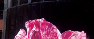 led屏為什么會流行起來？都有什么特點？