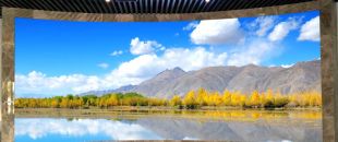 同是4K屏，為什么專業LED廣告機能比電視便宜30%？供應鏈成本大揭秘”